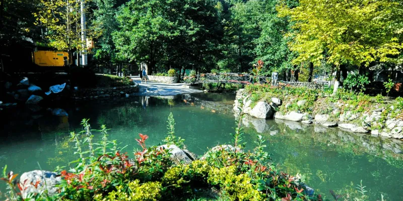 Sapanca Gölü'nde 53 Yıllık Sır! Uçak Enkazı Bulundu!