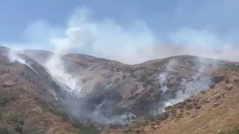 Adıyaman'da orman yangını söndürüldü