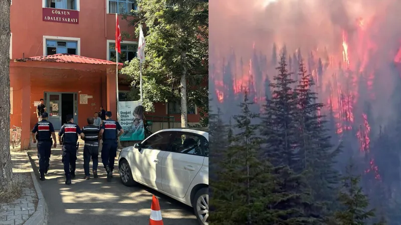 Adres Kahramanmaraş: Arılarını sakinleştirmek için yaktığı tütsü, 80 hektar ormanı kül etti