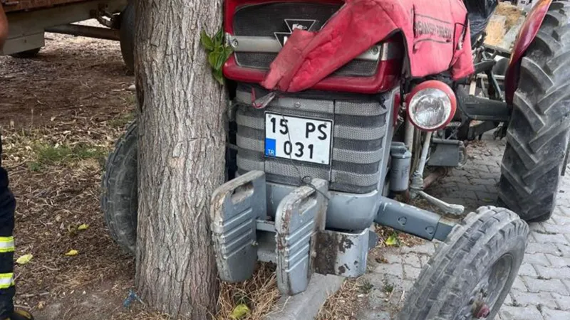 Ağaca çarpan traktörün sürücüsü öldü