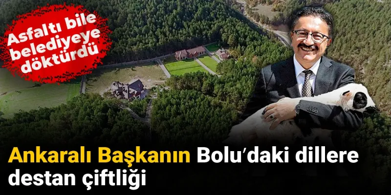 Ankaralı Başkanın Bolu'daki dillere destan çiftliği: Asfaltı bile belediyeye döktürdü