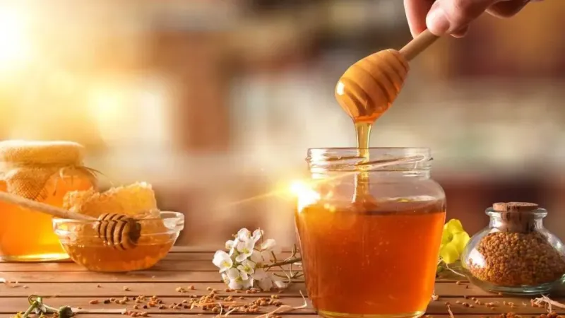 Balda Şok Hile! Bakanlık Sahtekarları Açıkladı!