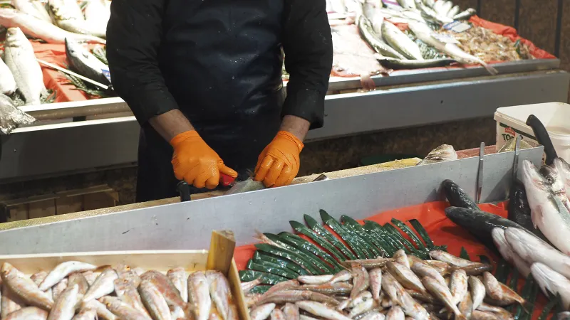 Balık Tezgahlarda Son Durum! Fiyatlar Cep Yakacak Mı?