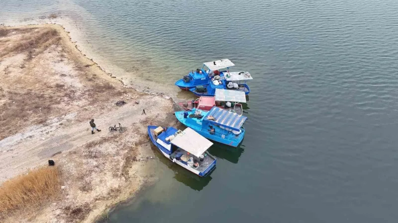Malatya'dan Balık İhracatı: Denizi Olmayan Şehirde Neler Oluyor?