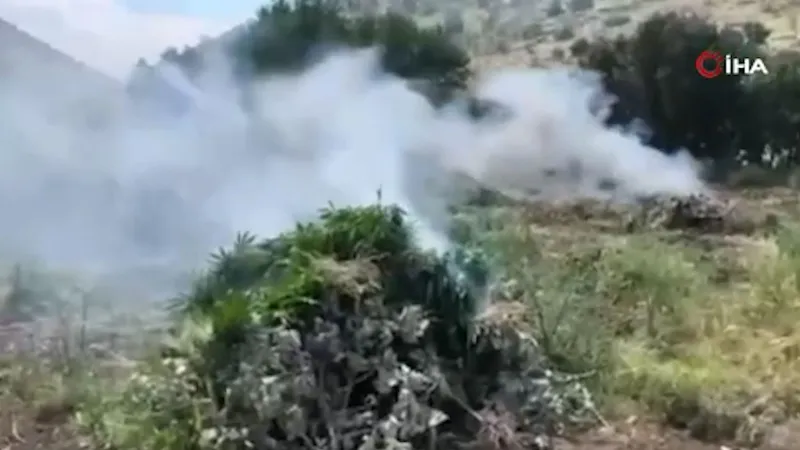 Diyarbakır'da Rekor Kenevir Baskını! 12 Milyon Kök Ele Geçti!