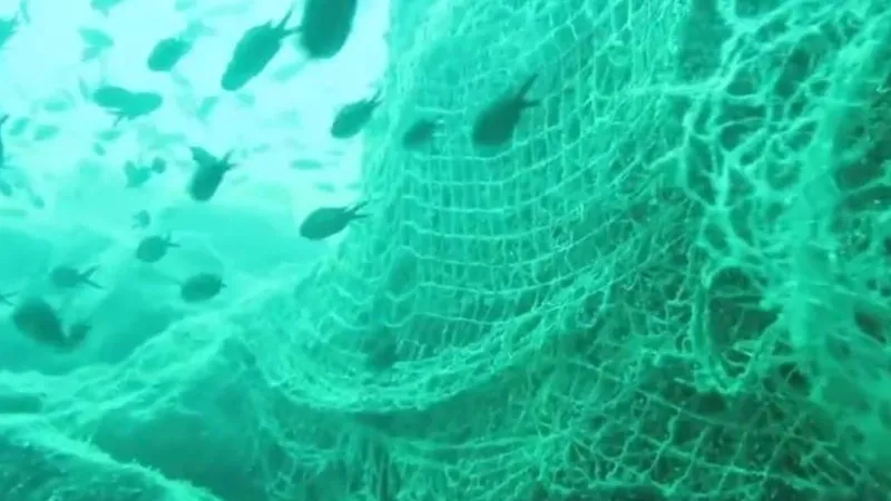 Karadeniz'in derinleri hayalet ağlarla dolu