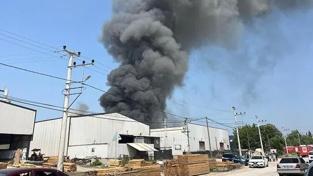 Kocaeli'de Boya Fabrikasında Korkunç Yangın! Alevler Yükseliyor