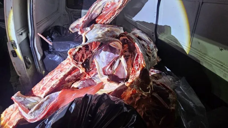 1 Ton Kaçak Et! Minibüste Yakalandı! Şok Detaylar Ortaya Çıktı