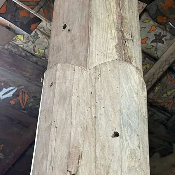 Çivisiz Cami Kokarca İstilası! 8 Asırlık Miras Tehlikede Mi?