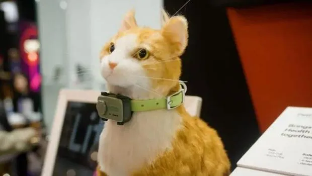 Evcil Hayvanlar İçin Akıllı Telefon PetPhone Tanıtıldı