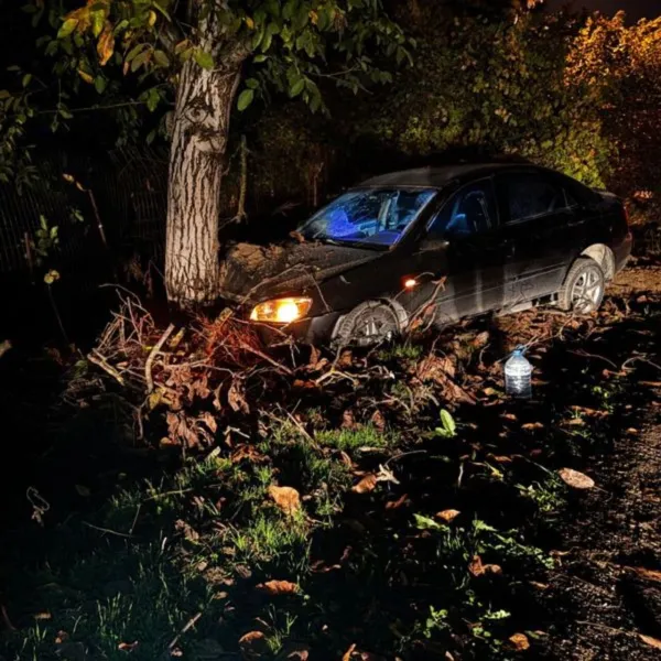 Feci Kaza! Otomobil Ağaca Çarptı: 3 Yaralı, Durumu Ağır Olan Var!