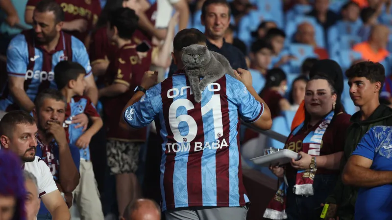 Trabzonspor'un Maskotu Tom! Kedi Tribünde Maç İzledi!