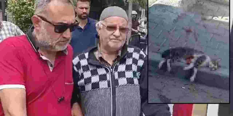 Savcılık itiraz etti; sokak kedisini pompalı tüfekle öldüren şüpheli tutuklandı