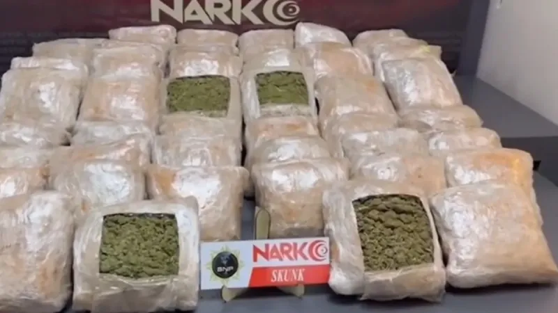 Uyuşturucu ticaretine darbe! İki haftada 927 kilo uyuşturucu, 1 milyon 296 bin hap: 1.993 şüpheli yakalandı